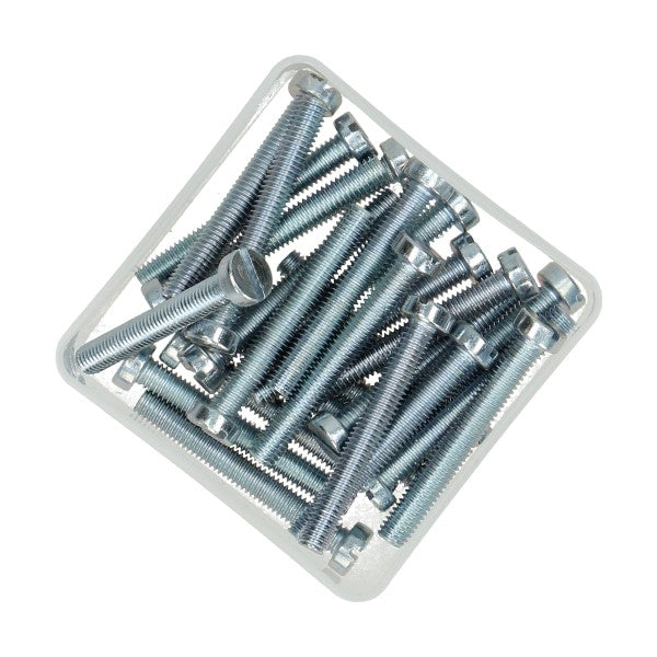bout cilinderkop met sleuf m6x45mm 25pcs